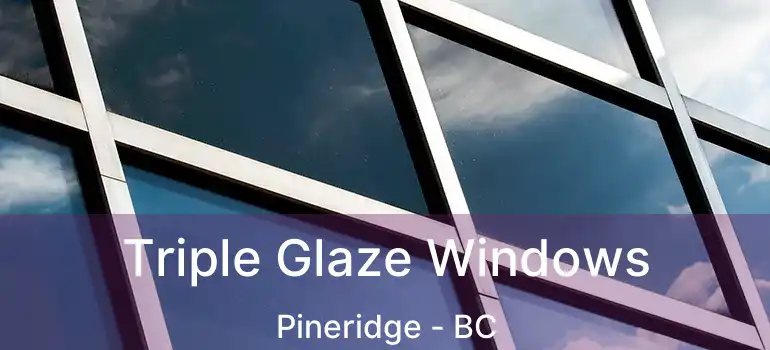  Triple Glaze Windows Pineridge - BC