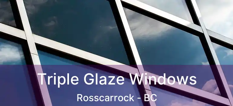  Triple Glaze Windows Rosscarrock - BC