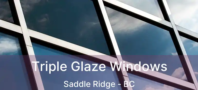  Triple Glaze Windows Saddle Ridge - BC