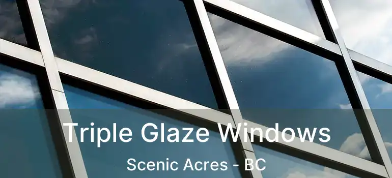  Triple Glaze Windows Scenic Acres - BC