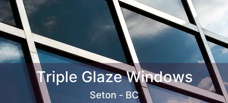  Triple Glaze Windows Seton - BC