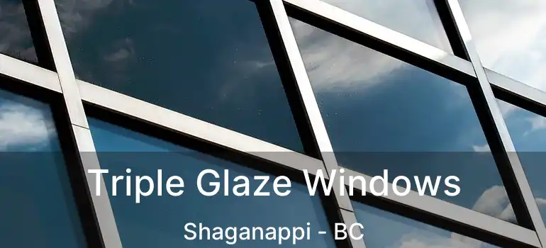  Triple Glaze Windows Shaganappi - BC