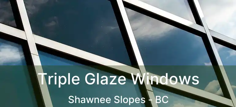  Triple Glaze Windows Shawnee Slopes - BC