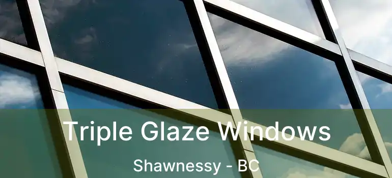  Triple Glaze Windows Shawnessy - BC