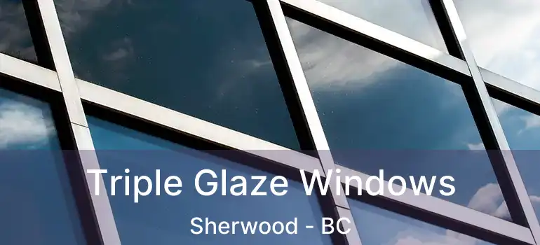  Triple Glaze Windows Sherwood - BC
