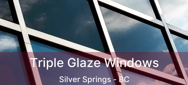  Triple Glaze Windows Silver Springs - BC