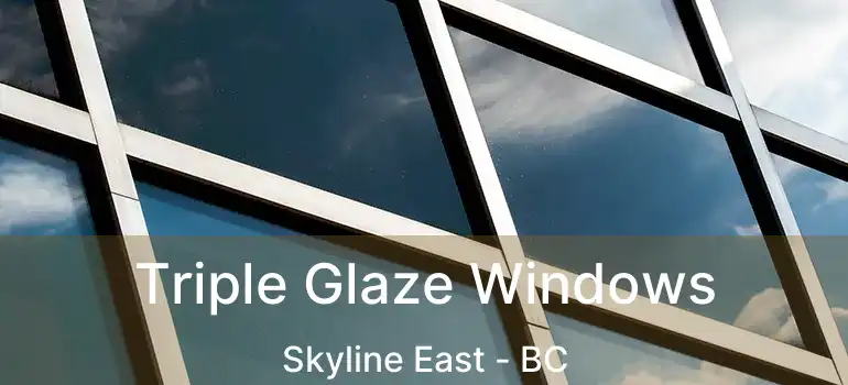  Triple Glaze Windows Skyline East - BC