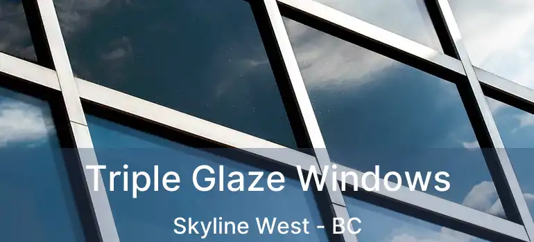  Triple Glaze Windows Skyline West - BC