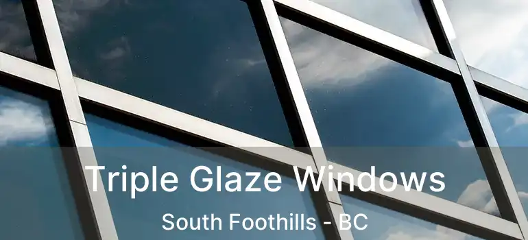  Triple Glaze Windows South Foothills - BC