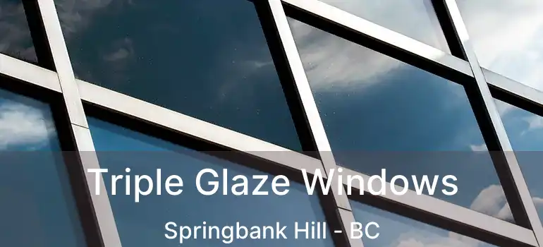  Triple Glaze Windows Springbank Hill - BC