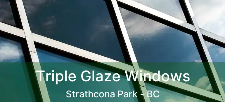  Triple Glaze Windows Strathcona Park - BC