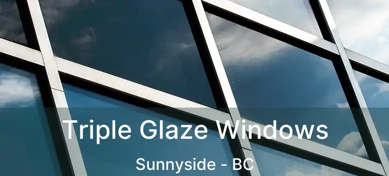  Triple Glaze Windows Sunnyside - BC