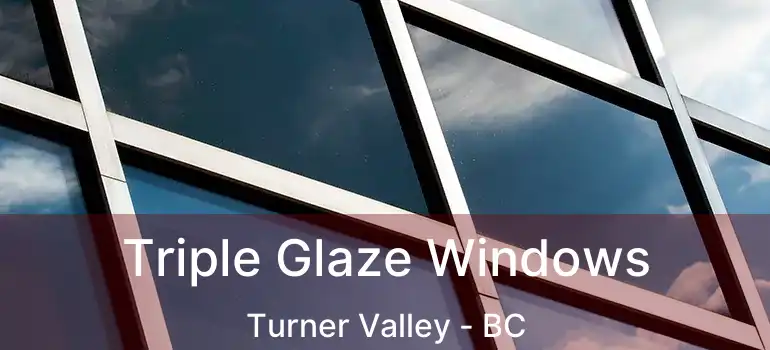  Triple Glaze Windows Turner Valley - BC