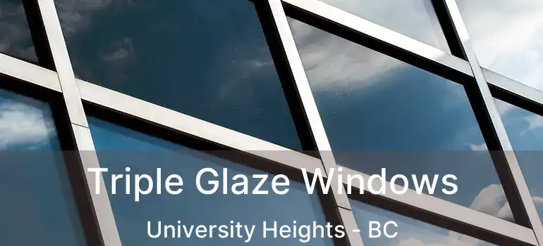  Triple Glaze Windows University Heights - BC