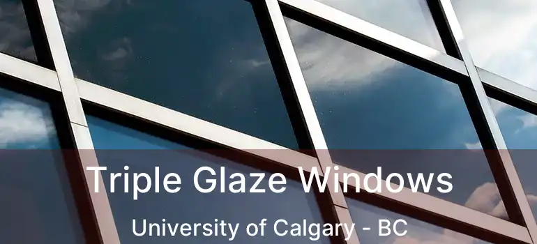  Triple Glaze Windows University of Calgary - BC