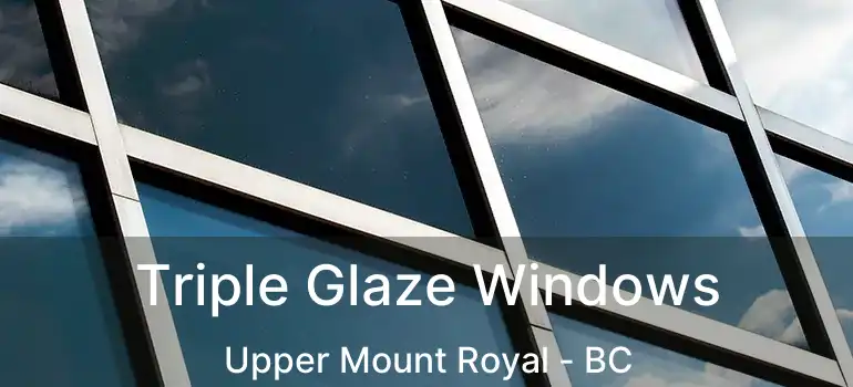  Triple Glaze Windows Upper Mount Royal - BC
