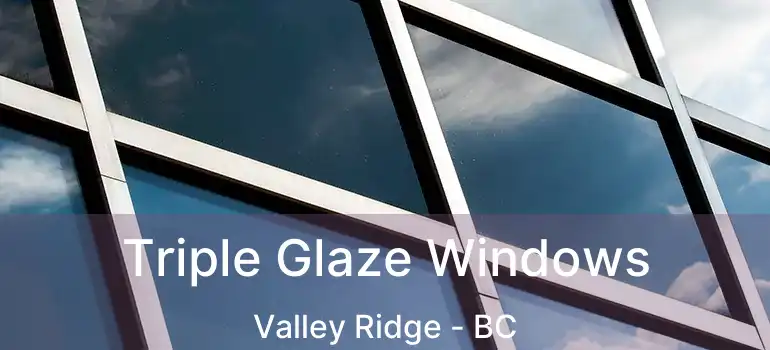 Triple Glaze Windows Valley Ridge - BC