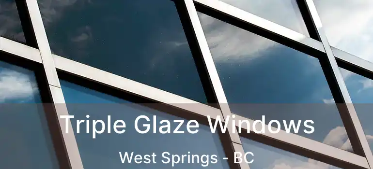  Triple Glaze Windows West Springs - BC