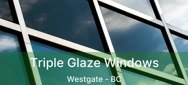 Triple Glaze Windows Westgate - BC
