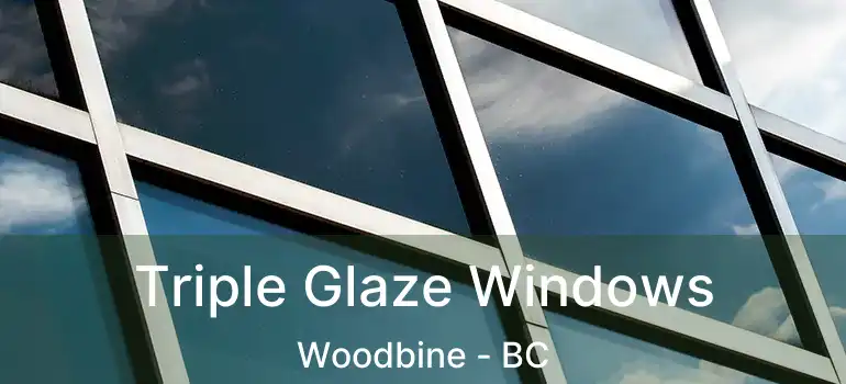  Triple Glaze Windows Woodbine - BC