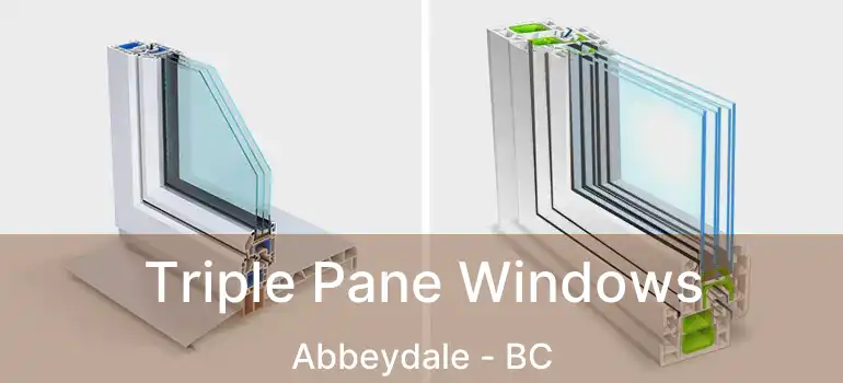  Triple Pane Windows Abbeydale - BC