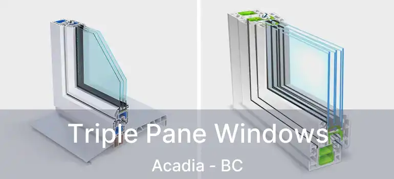  Triple Pane Windows Acadia - BC