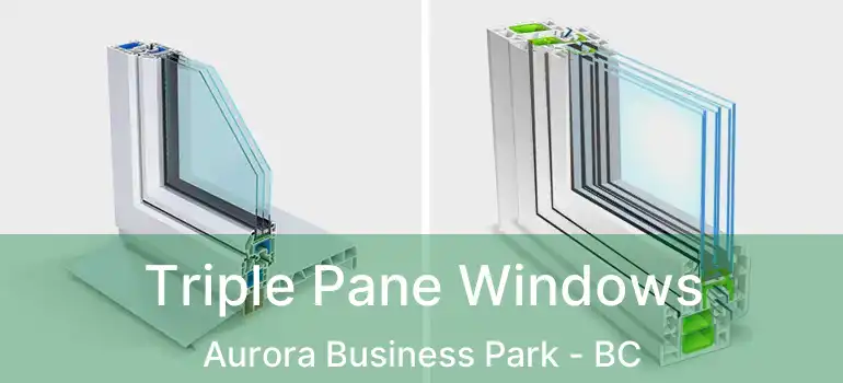  Triple Pane Windows Aurora Business Park - BC