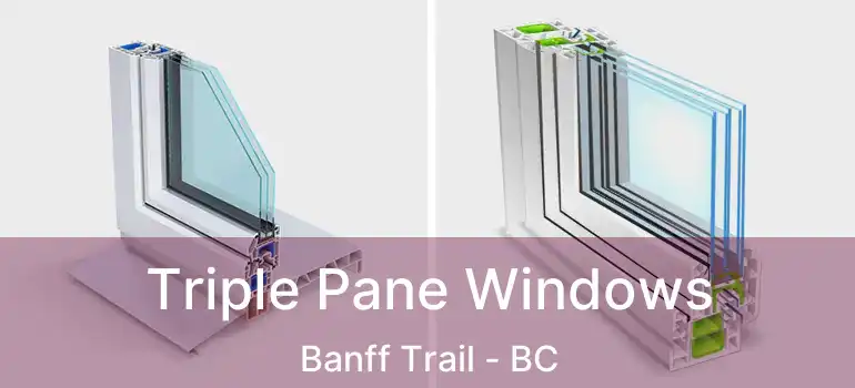  Triple Pane Windows Banff Trail - BC