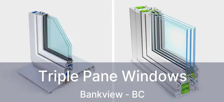  Triple Pane Windows Bankview - BC