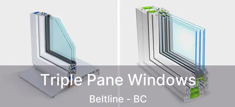  Triple Pane Windows Beltline - BC