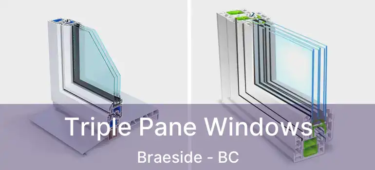  Triple Pane Windows Braeside - BC