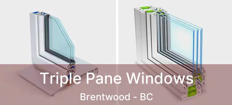  Triple Pane Windows Brentwood - BC