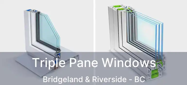  Triple Pane Windows Bridgeland & Riverside - BC