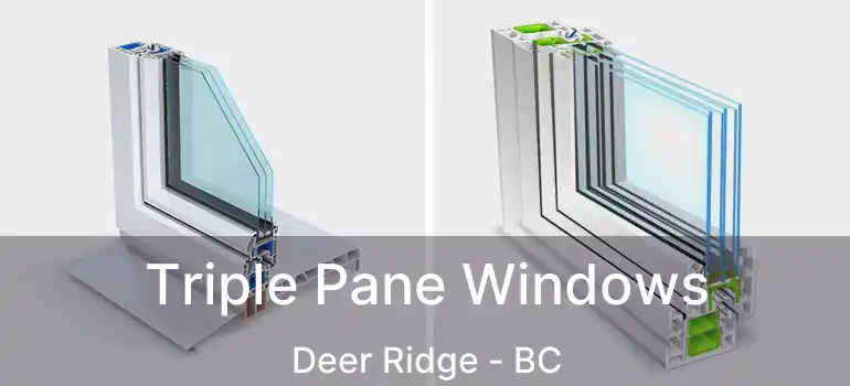  Triple Pane Windows Deer Ridge - BC