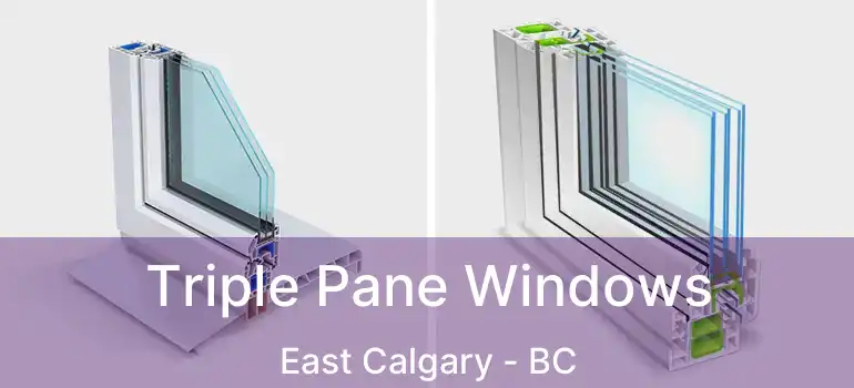  Triple Pane Windows East Calgary - BC