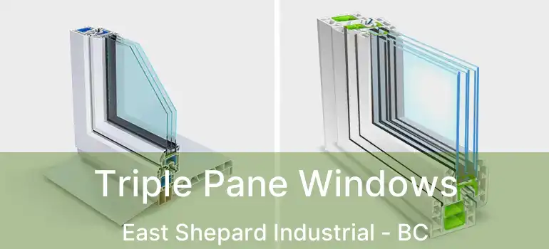  Triple Pane Windows East Shepard Industrial - BC