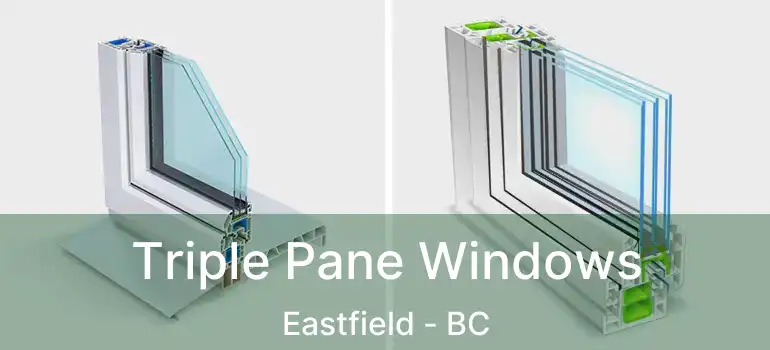  Triple Pane Windows Eastfield - BC
