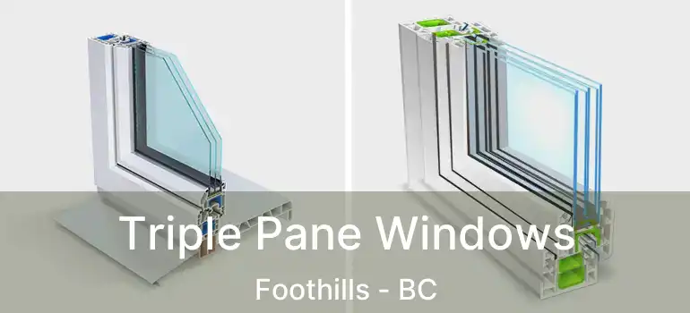  Triple Pane Windows Foothills - BC