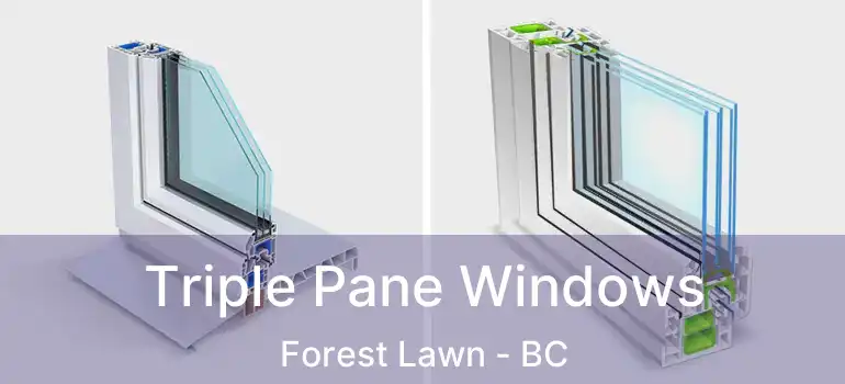  Triple Pane Windows Forest Lawn - BC
