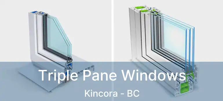  Triple Pane Windows Kincora - BC