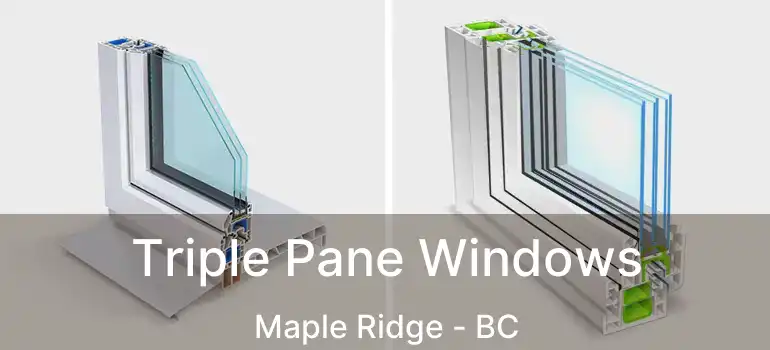  Triple Pane Windows Maple Ridge - BC