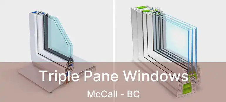  Triple Pane Windows McCall - BC