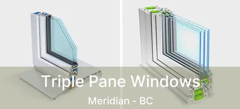  Triple Pane Windows Meridian - BC