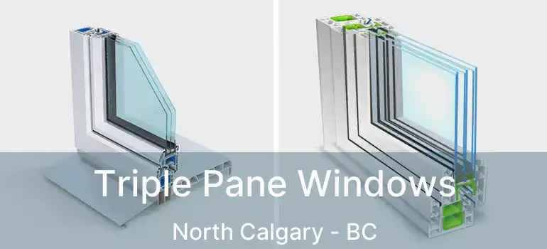  Triple Pane Windows North Calgary - BC