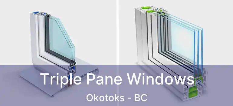  Triple Pane Windows Okotoks - BC