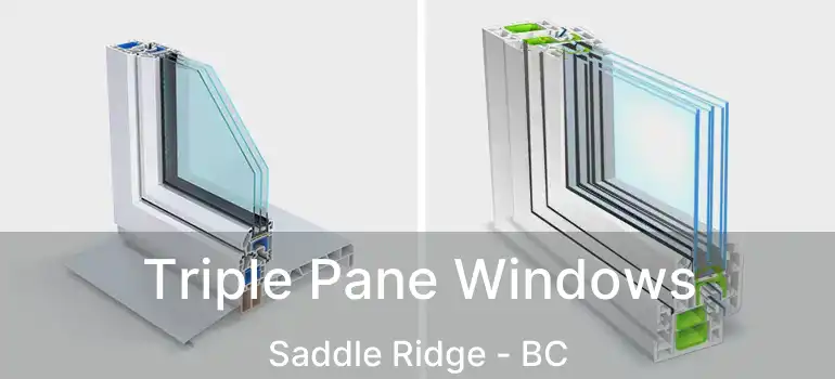  Triple Pane Windows Saddle Ridge - BC