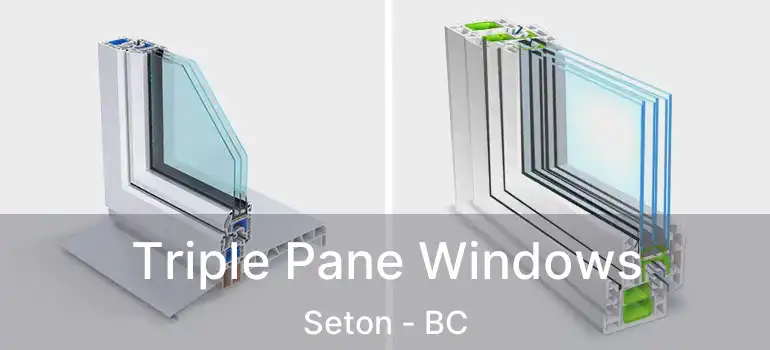  Triple Pane Windows Seton - BC