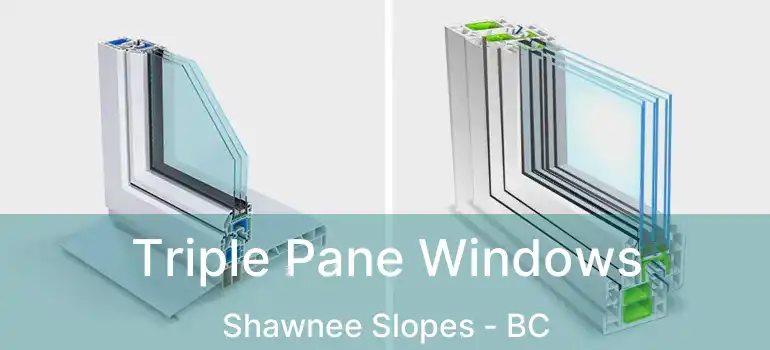  Triple Pane Windows Shawnee Slopes - BC