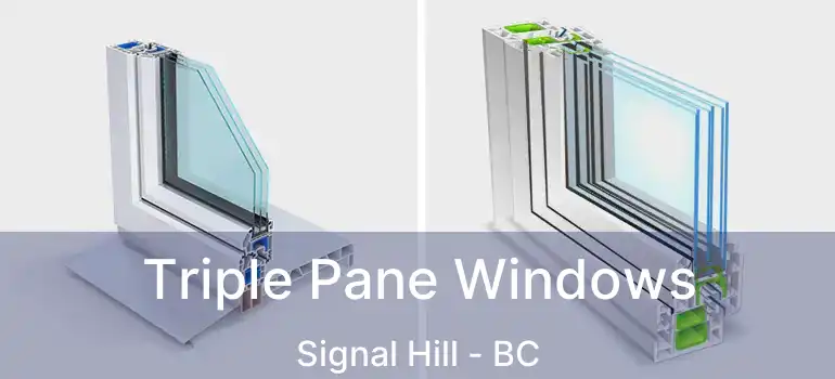  Triple Pane Windows Signal Hill - BC