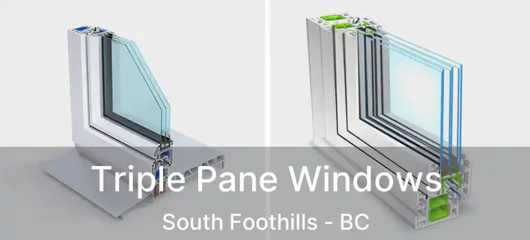 Triple Pane Windows South Foothills - BC